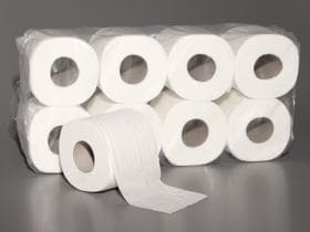 WC-Papier, 100% Zellstoff 3-lagig hochweiss, 250 Blatt, Dekorprägung