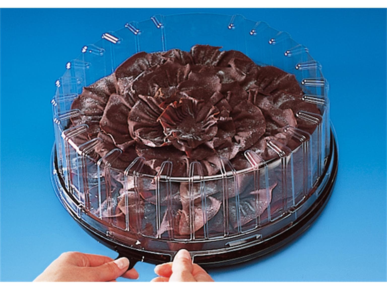 Haube zu Kuchen- und Tortenplatte aus PET/rPET, Ø 255 mm - Höhe 80 mm