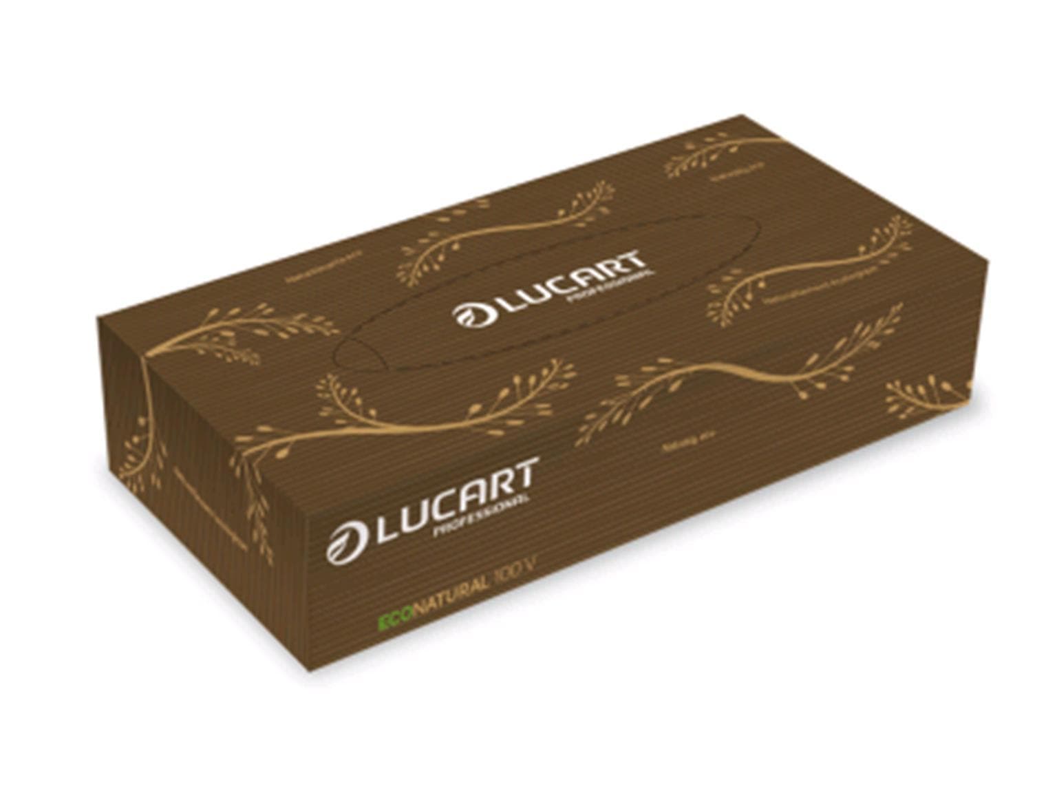 Kosmetiktücher ECO Natural 100V, 2-lagig, Box à 100 Tücher