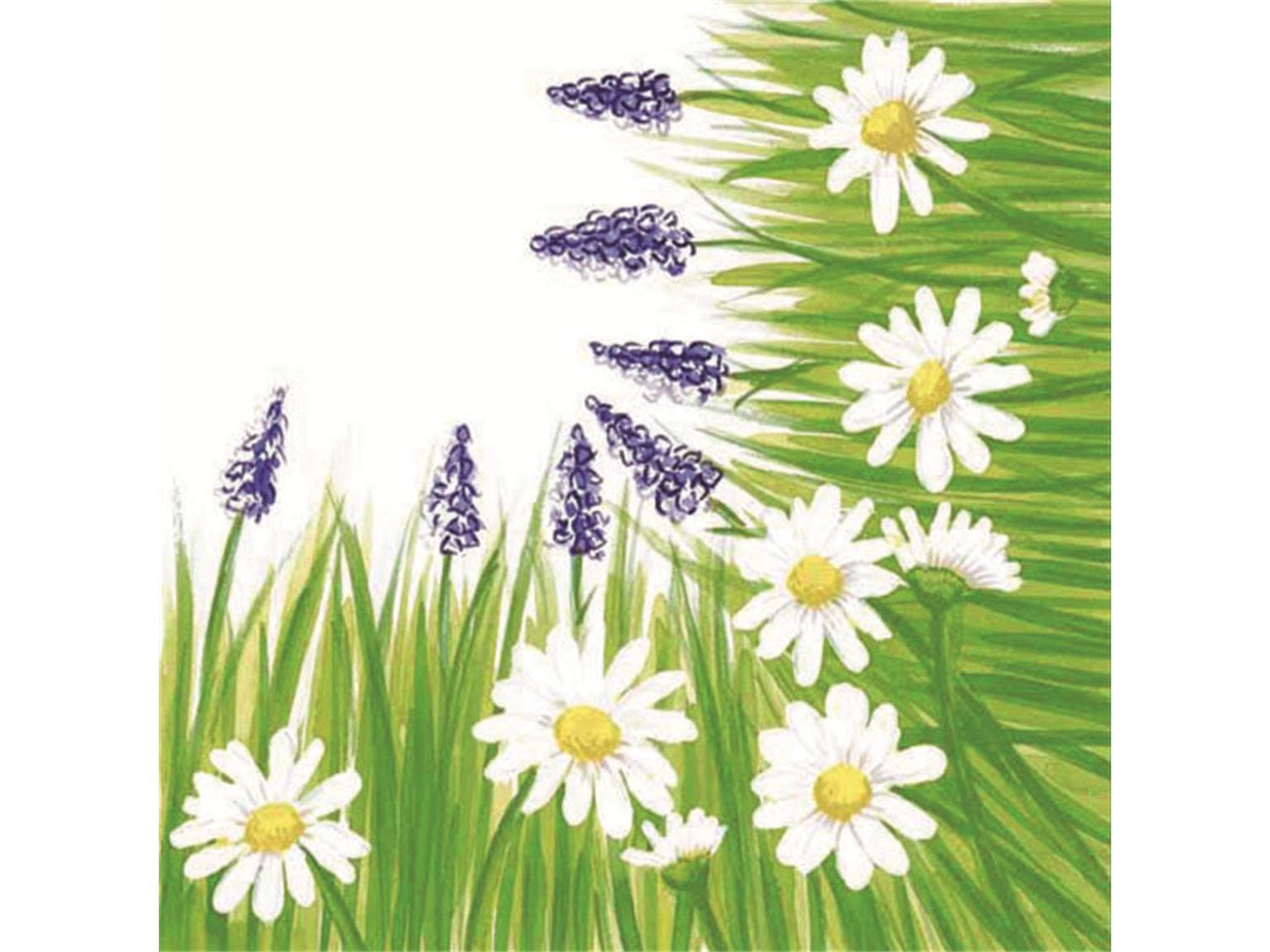 Servietten Airlaid 60 gm2, 40 x 40 cm 1/4 Falz, "Nele"