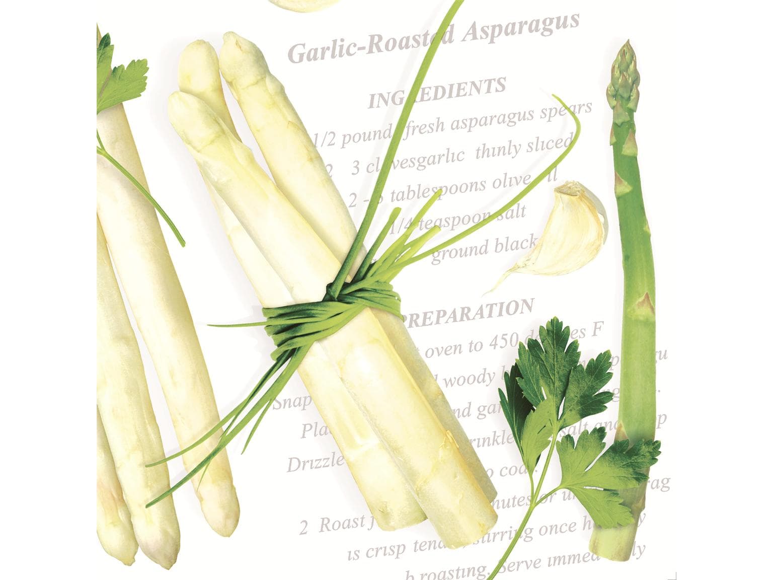 Servietten Airlaid, 40 x 40 cm, 1/4 Falz, "ASPARAGUS"