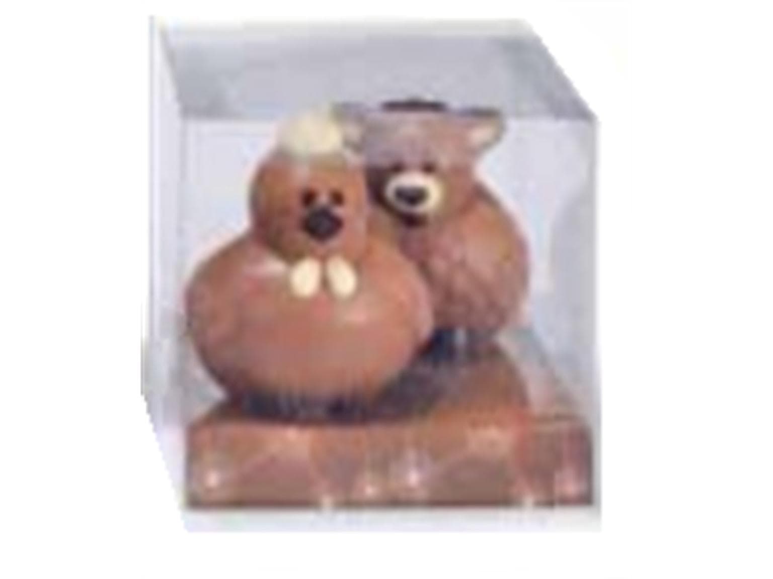 Transparente Sichtbox, PVC 210x210/250mm, flach geliefert