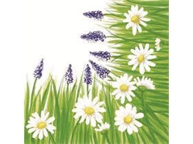 Servietten Airlaid 60 gm2, 40 x 40 cm 1/4 Falz, "Nele"