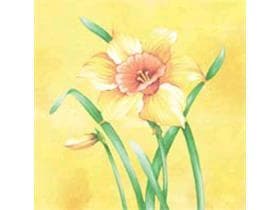 Tovaglioli Airlaid 65 gm2, 40 x 40 cm piegati 1/4, "ELVIRA"