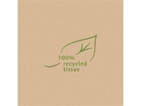 Servietten Softpoint, 20 x 20 cm, 1/4 Falz, recycelt