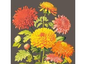 Servietten Airlaid, 40 x 40 cm, 1/4 Falz, "AMARA"