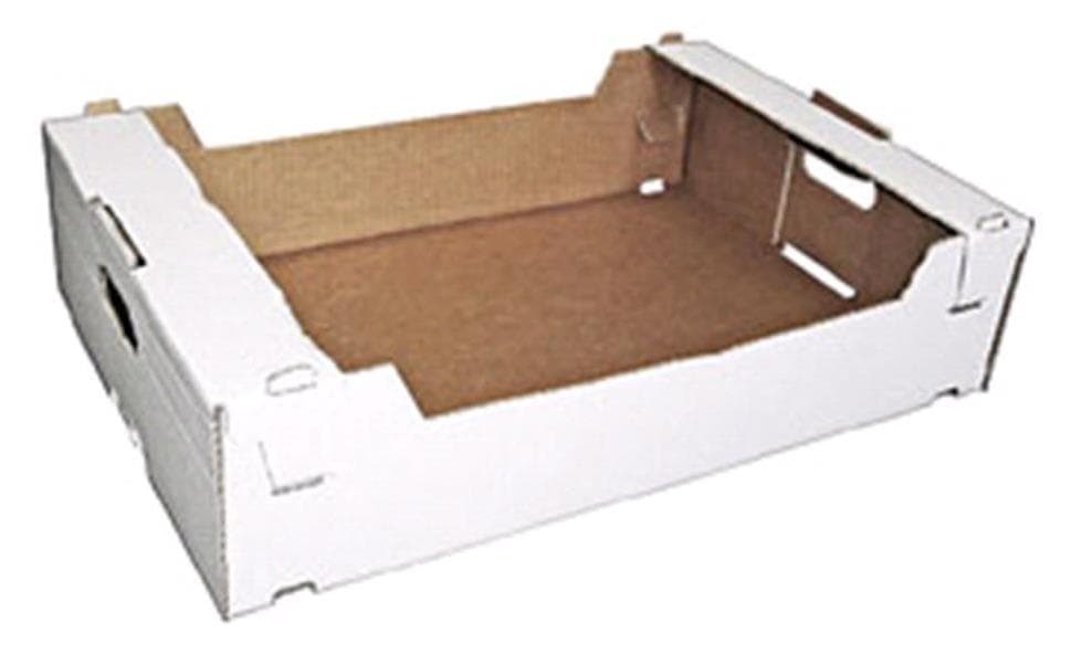 Auslieferkarton 600 x 400 x 150 mm (Aussenmass), 581 x 383 x 141 mm