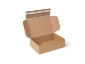 Versandkarton mit Selbstklebeverschluss Innenmass 305 x 210 x -91 mm,