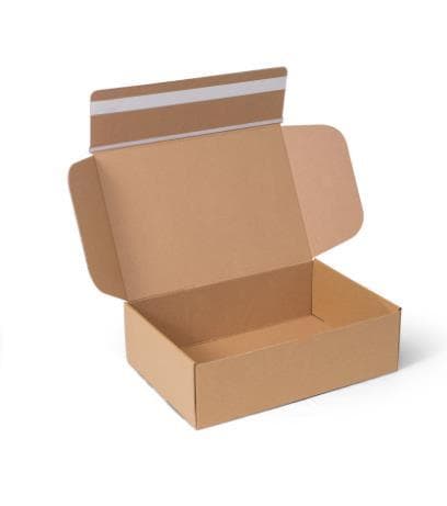 Versandkarton mit Selbstklebeverschluss Innenmass 305 x 210 x -91 mm,