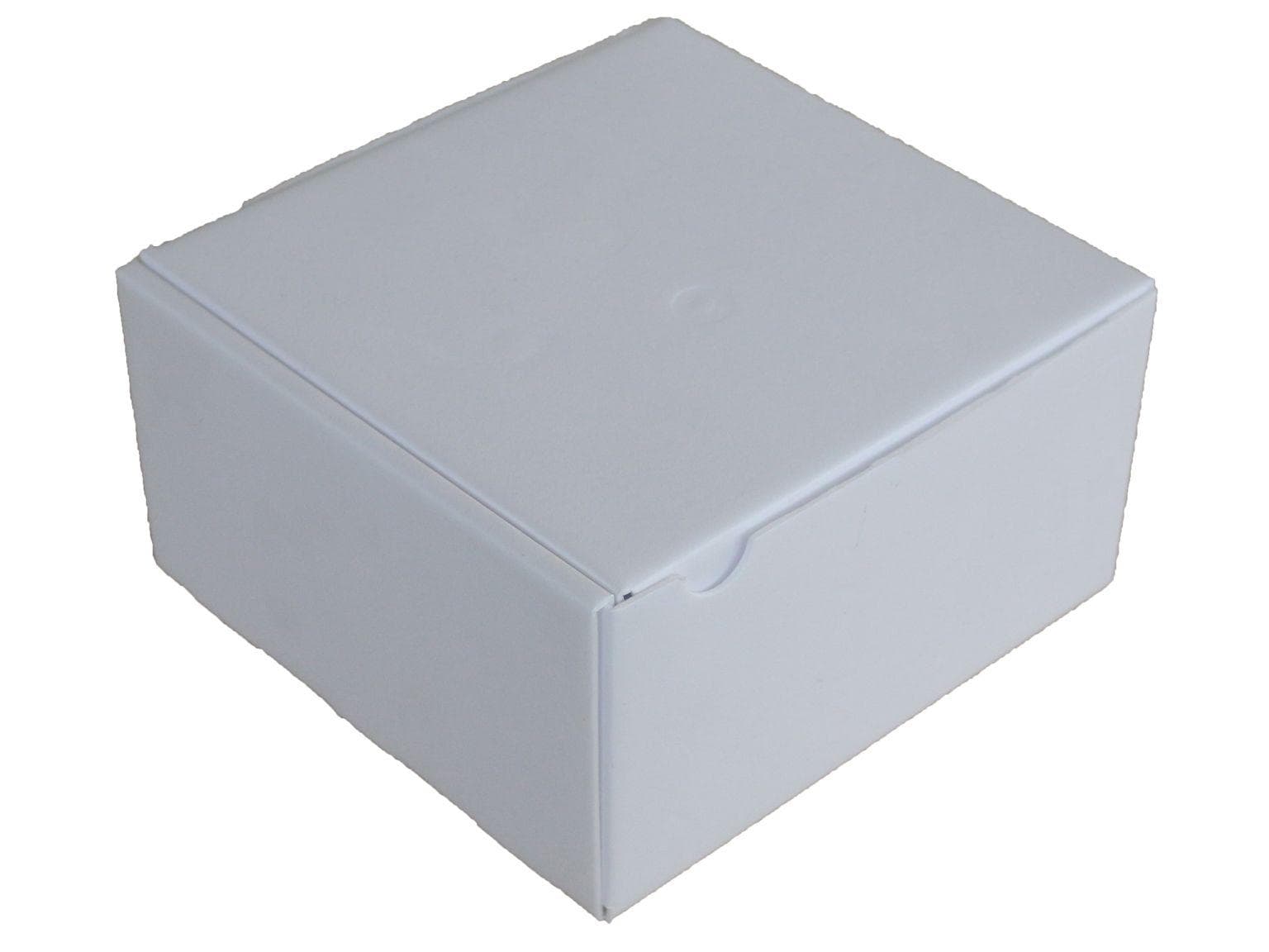 Emballage de sécurité thermique en XPS blanc, 270 x 270 mm, hauteur 100 mm