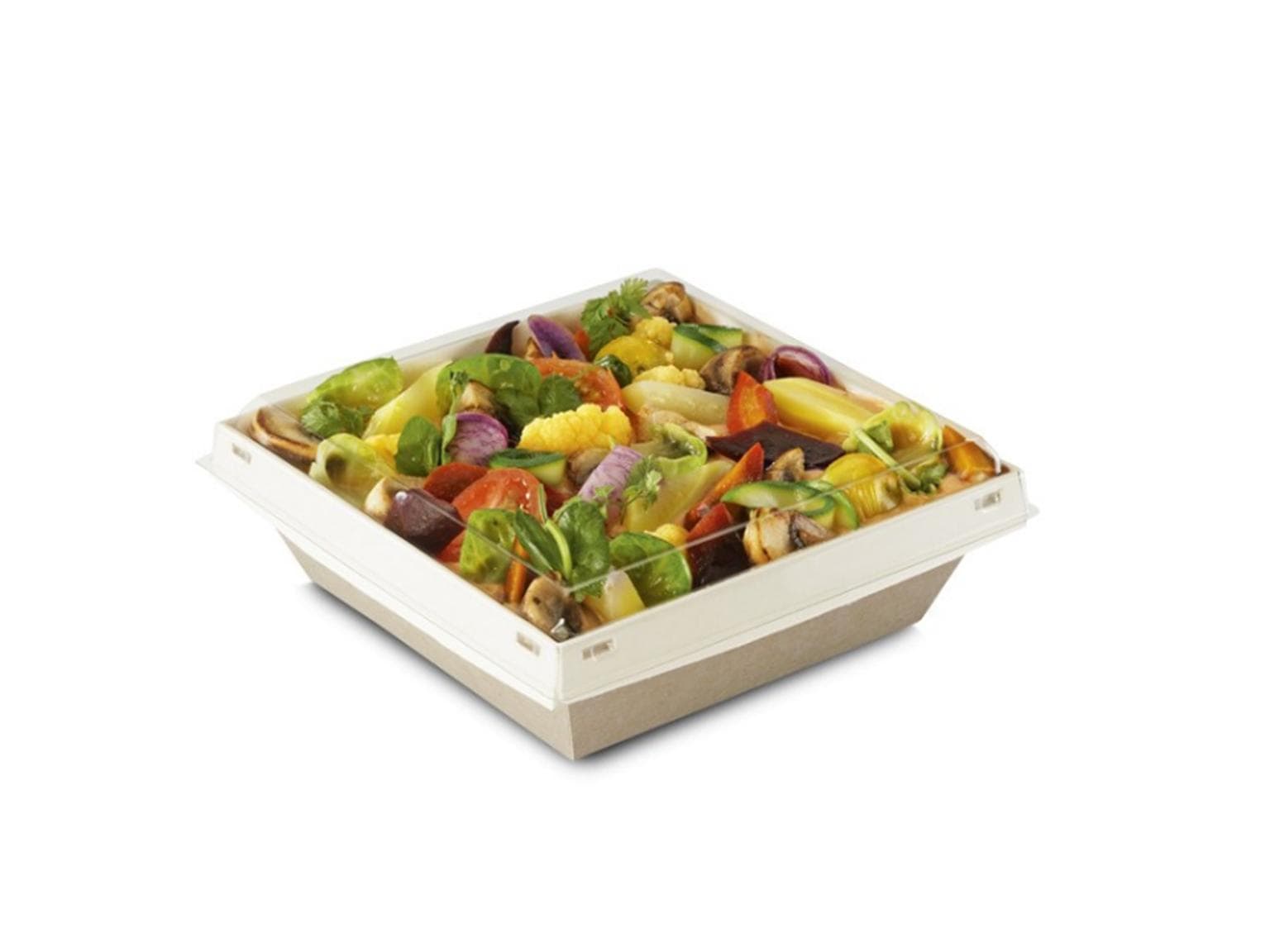 Couvercle pour plateaux menus Art. 2920.00 160 x 160 x 23 mm, transparent