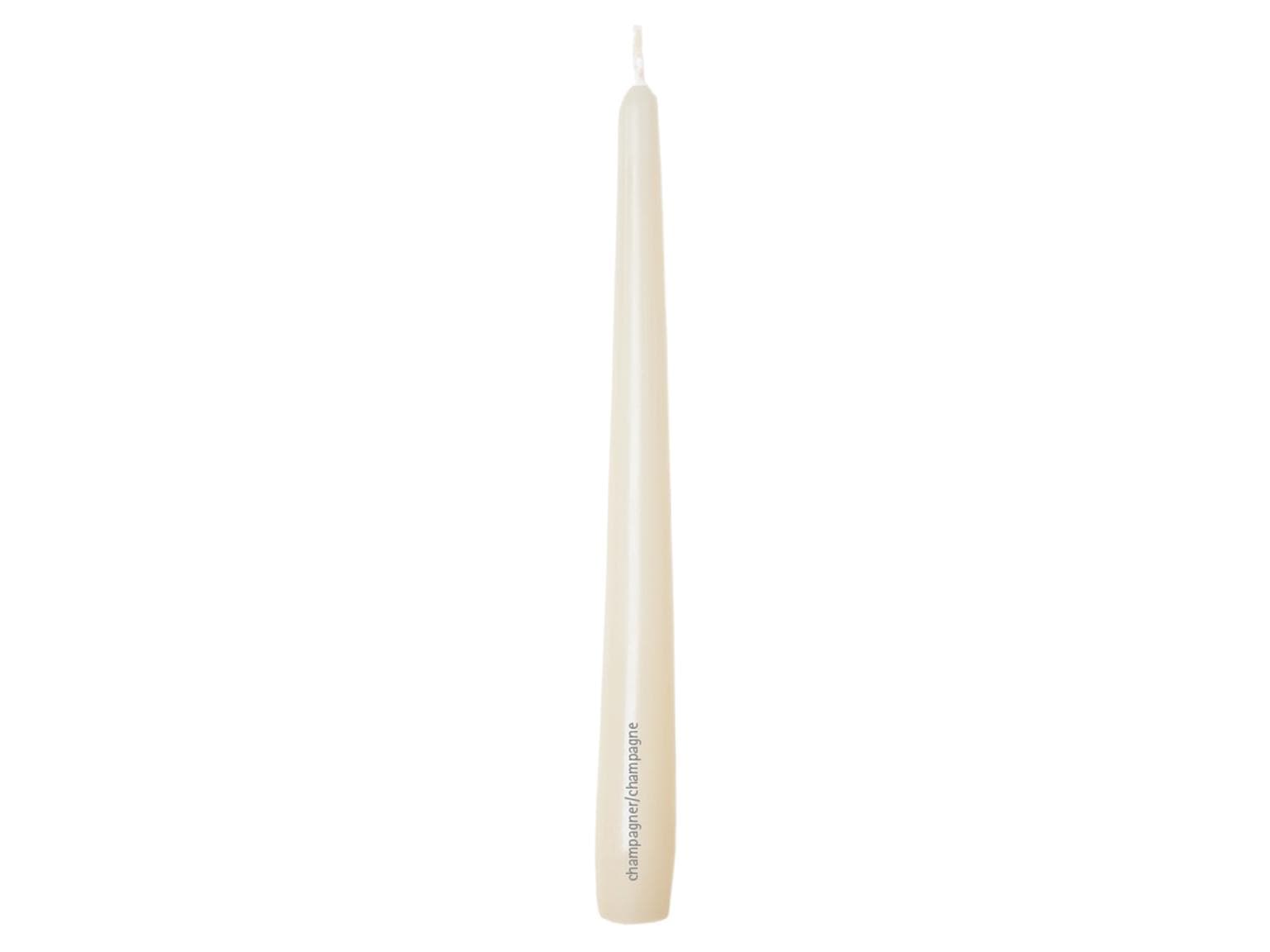 Bougies coniques gastro, 2,2 x 24 cm, champagne