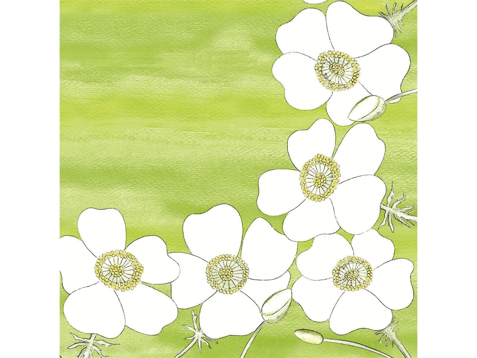 Tovaglioli Airlaid 65 gm2, 40 x 40 cm piegati in 1/4, "GUDRUN"