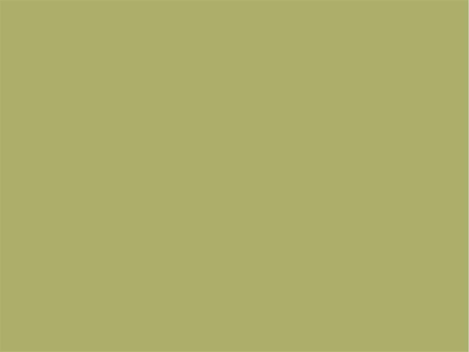 Set de table Airlaid 60 g/m², 40 x 30 cm olive, "UNI"