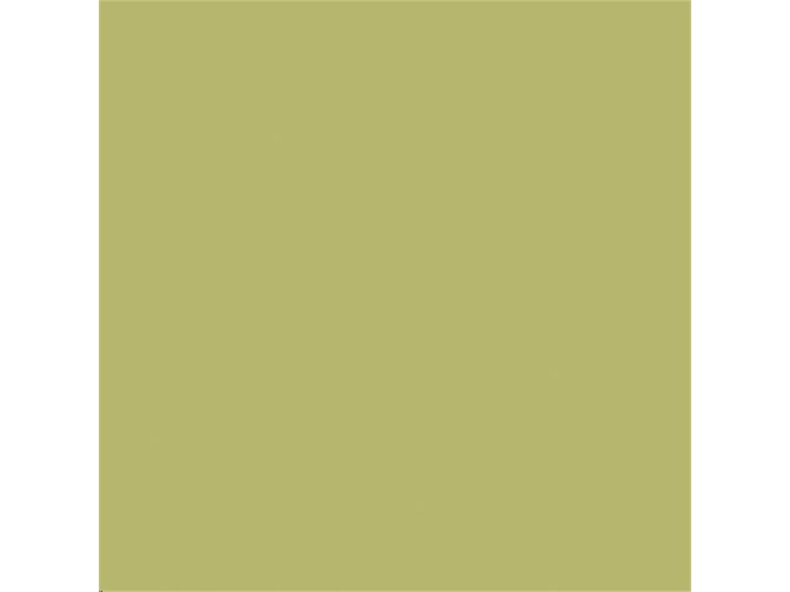 Tovaglioli Softpoint, 20 x 20 cm, piegati 1/4, oliva, non stampati