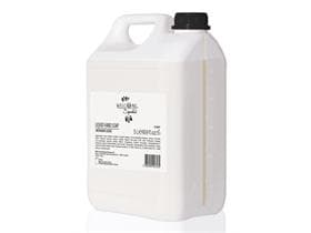 Savon liquide pour les mains Welcome 5 L à l'extrait de Ginkgo Biloba
