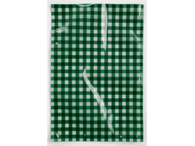 Sacchetto sottovuoto 200 x 300 mm, NPE 20/70 stampa unilaterale a quadretti bianco/verde