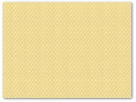 Tovaglietta americana 30 x 40 cm 1 velo, goffratura champagne, bordo dritto