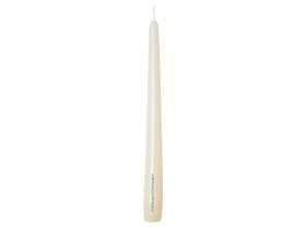 Candele Gastro affusolate, 2,2 x 24 cm, champagne
