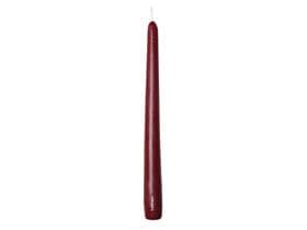 Candele Gastro coniche, 2,2 x 24 cm, bordeaux