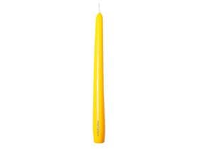 Candele Gastro coniche, 2,2 x 24 cm, giallo senape