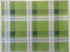 Tovaglietta americana 1 velo, 40 cm x 30 cm, verde, a quadri