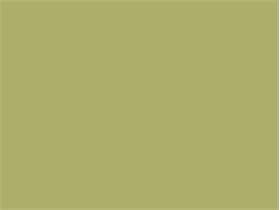 Tischset Airlaid 60 gm2, 40 x 30 cm olive, "UNI"