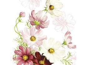 Tovaglioli Airlaid 65 g/m², 40 x 40 cm, 1/4 piega, "COSMEA"