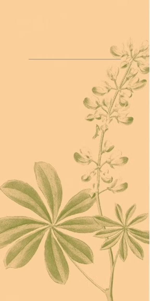 Tovagliolo monouso Airlaid, 40 x 40 cm, piega 1/8, "Opus flora"