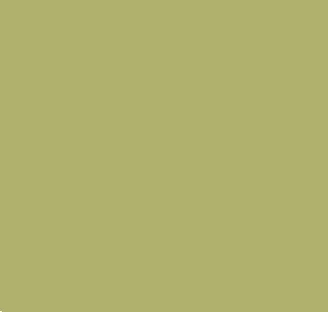 Tovaglia Airlaid, 40 cm x 24 m, "Basic" verde oliva.