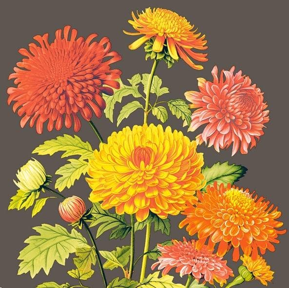 Tovaglioli Airlaid, 40 x 40 cm, piegati 1/4, "AMARA"