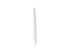 Candele coniche color champagne 22 x 245 mm, durata della combustione 7,5 ore