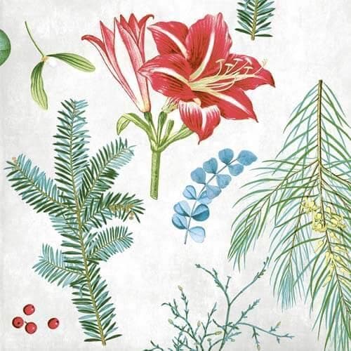 Tovaglioli Airlaid, 40 x 40 cm, piegati 1/4, "Amaryllis"