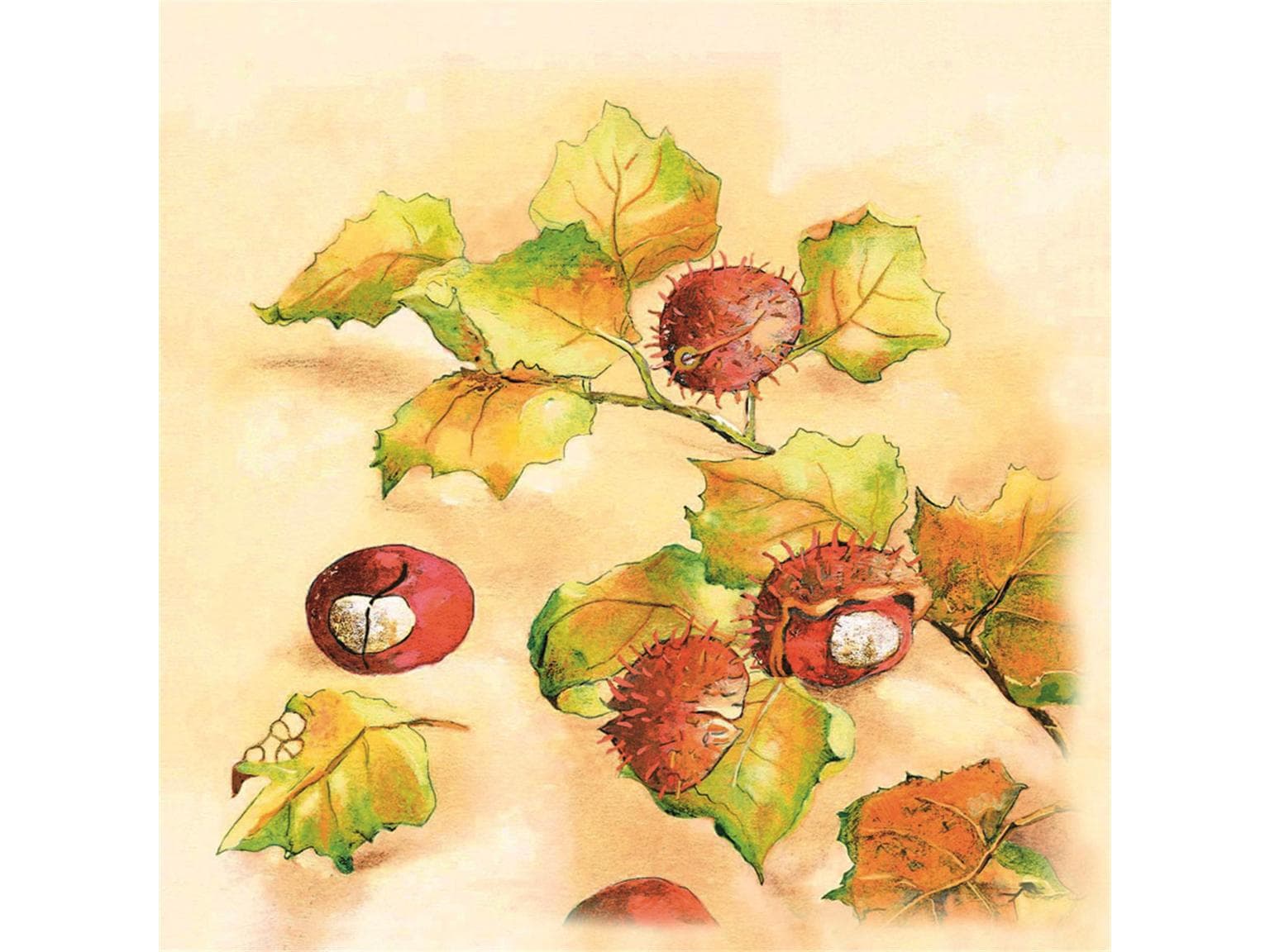 Servietten Airlaid 60 gm2, 40 x 40 cm 1/4 Falz, "Kastanie"