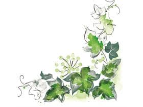 Servietten Airlaid, 40 x 40 cm, 1/4 Falz, "ELENOR (EFEU)" Efeu