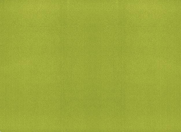 Tischset FIESTA, 30 x 43 cm, grüntee geprägt, gerader Rand