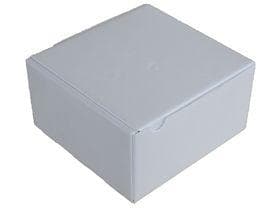 Emballage de sécurité thermique en XPS blanc, 270 x 270 mm, hauteur 100 mm