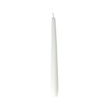 Bougies coniques champagne 22 x 245 mm, durée de combustion 7,5 heures