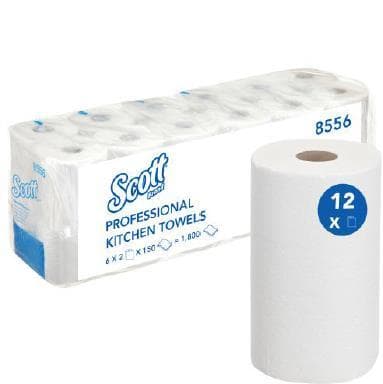 Rouleau de ménage Tela Recycling SCOTT 25,2 x 25,3 cm, 2 plis blanc 150 coupons