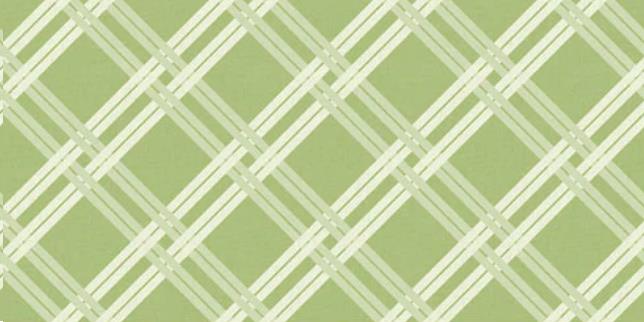 TISCHLAEUFER AIRLAID  40 cm x 24 m, Fabio oliv