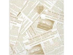 SERVIETTEN TISSUE  33 x 33 cm, 1/4 Falz, 3-lagig, Newspaper