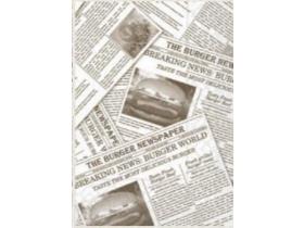 SERVIETTEN TISSUE  33 x 33 cm, 1/4 Falz, 3-lagig, Newspaper