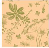 SERVIETTEN AIRLAID  40 x 40 cm, 1/4 Falz, Opus Flora