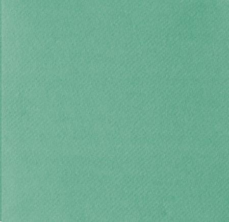 TISCHDECKEN AIRLAID  80 x 80 cm, 1/8 Falz, Basic eukalyptus