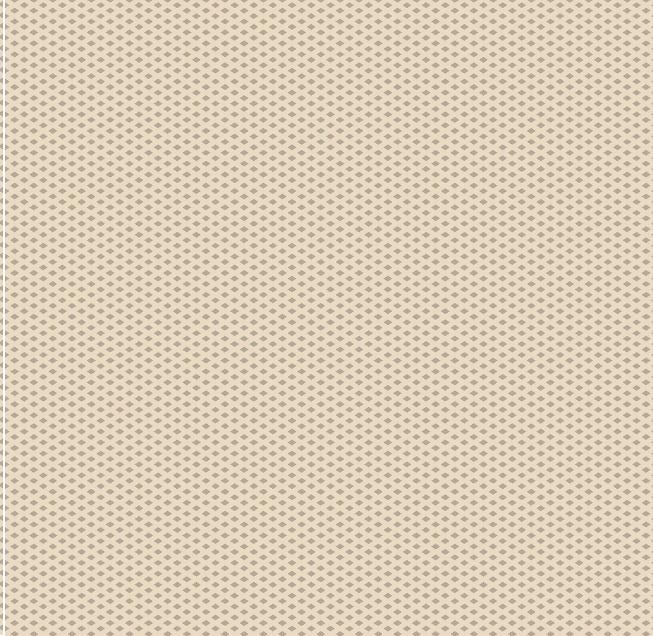 SERVIETTEN RECYCLING-SOFTPOINT  40 x 40 cm, 1/4 Falz, Dot nature