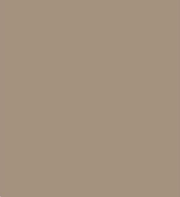 TISCHLAEUFER AIRLAID  40 cm x 24 lfm, Basic beige grey