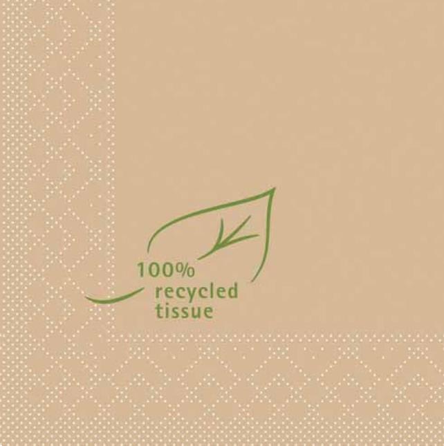 SERVIETTEN TISSUE  24 x 24 cm, 1/4 Falz, 2-lag, Basic rec.