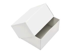 PATISSERIESCHACHTEL  24 x 18 x 9 cm, weiss - Scheitlin Papier PATISSERIESCHACHTEL  24 x 18 x 9 cm, weiss