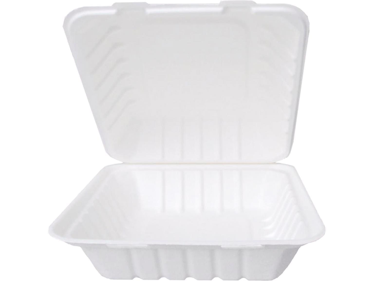 MENUBOX BAGASSE  ungeteilt, 22 x 20 x 9 cm, weiss