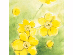 SERVIETTEN AIRLAID  40 x 40 cm, "Anemone" gelb/grün
